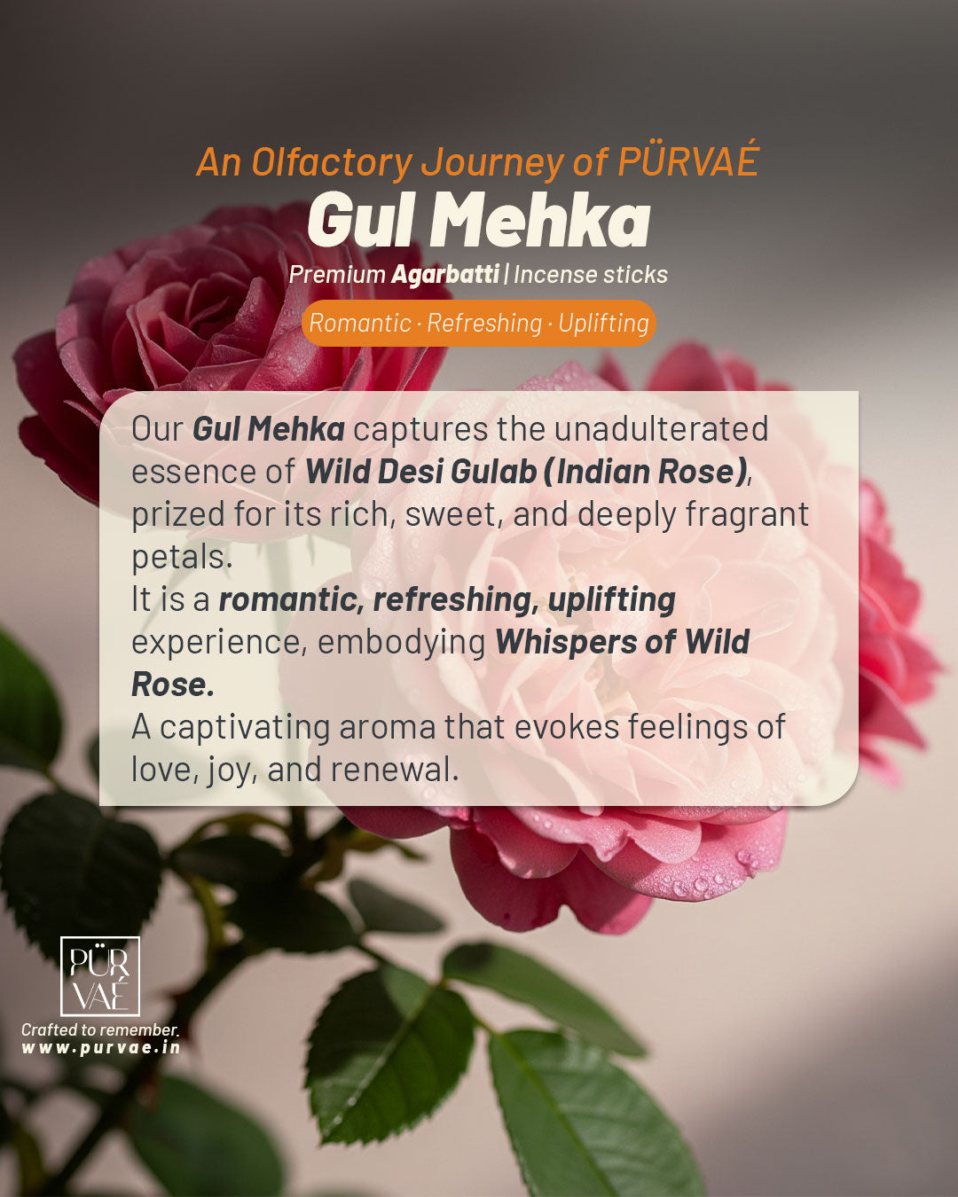 Purvae Gul Mehka | Heritage Incense Sticks (Wild Rose, Long-Lasting)