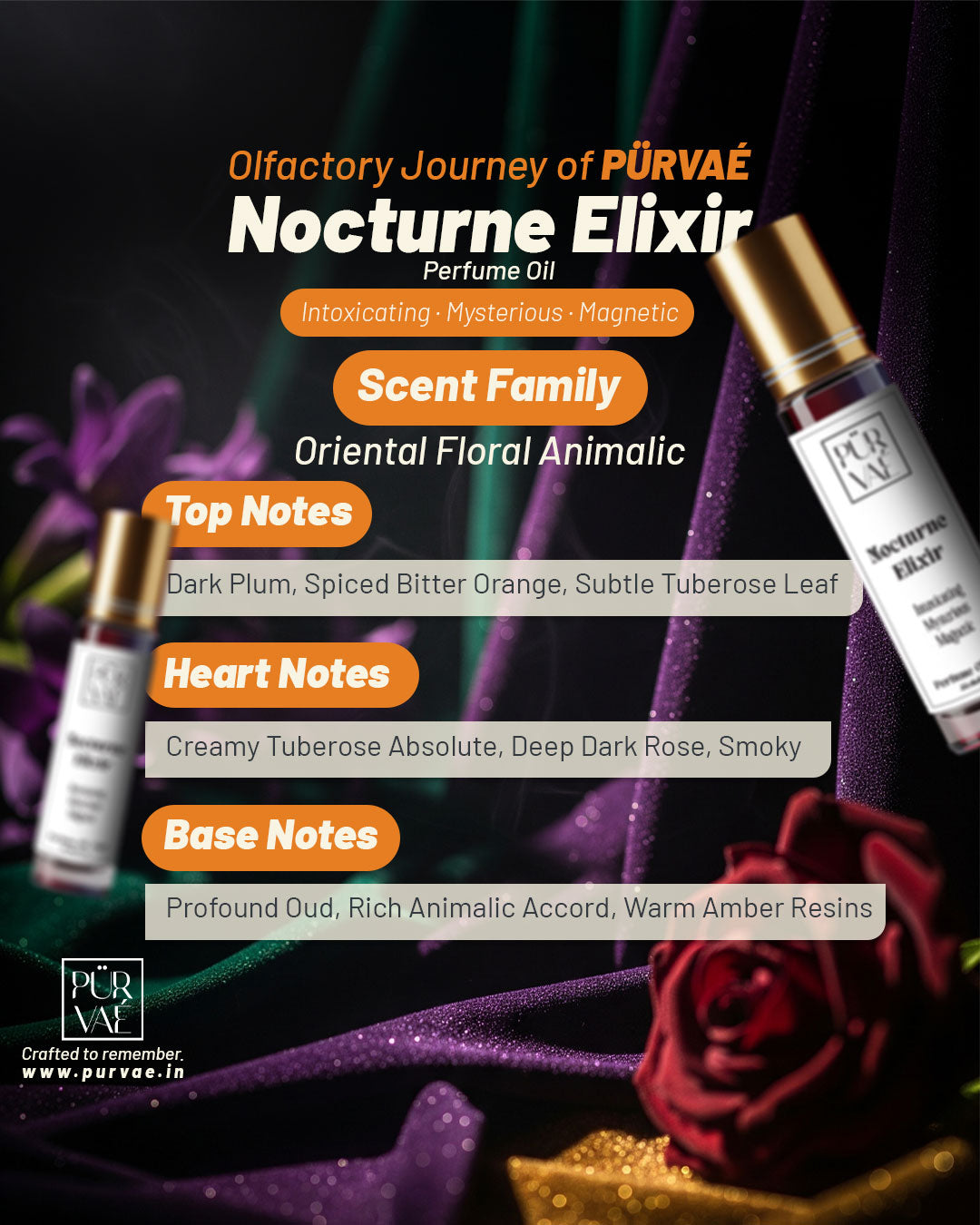 Purvae Nocturne Elixir | Roll-On Pure Perfume Oil (Unisex, 48 hrs Long-Lasting)