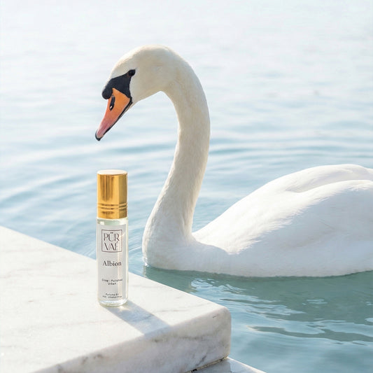 Albion – Citrus, Lavender & Amber Parfum Oil Roll-On