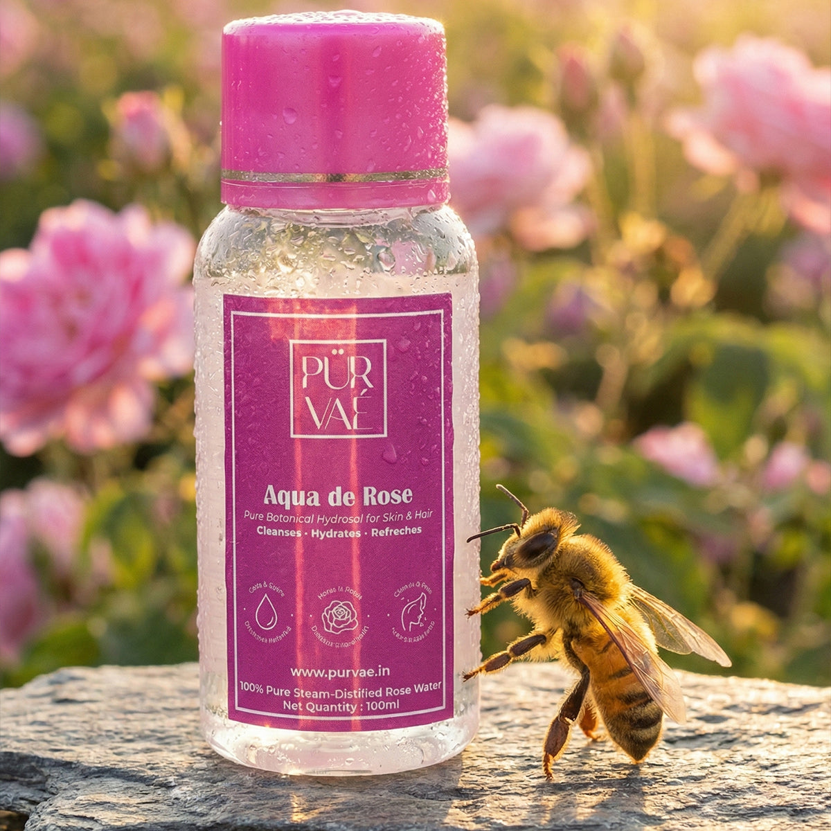 Purvae Aqua de Rose | Pure Steam-Distilled Rose Water