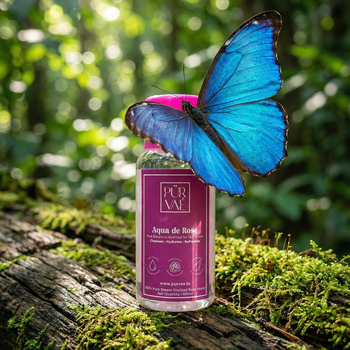 Purvae Aqua de Rose | Pure Steam-Distilled Rose Water