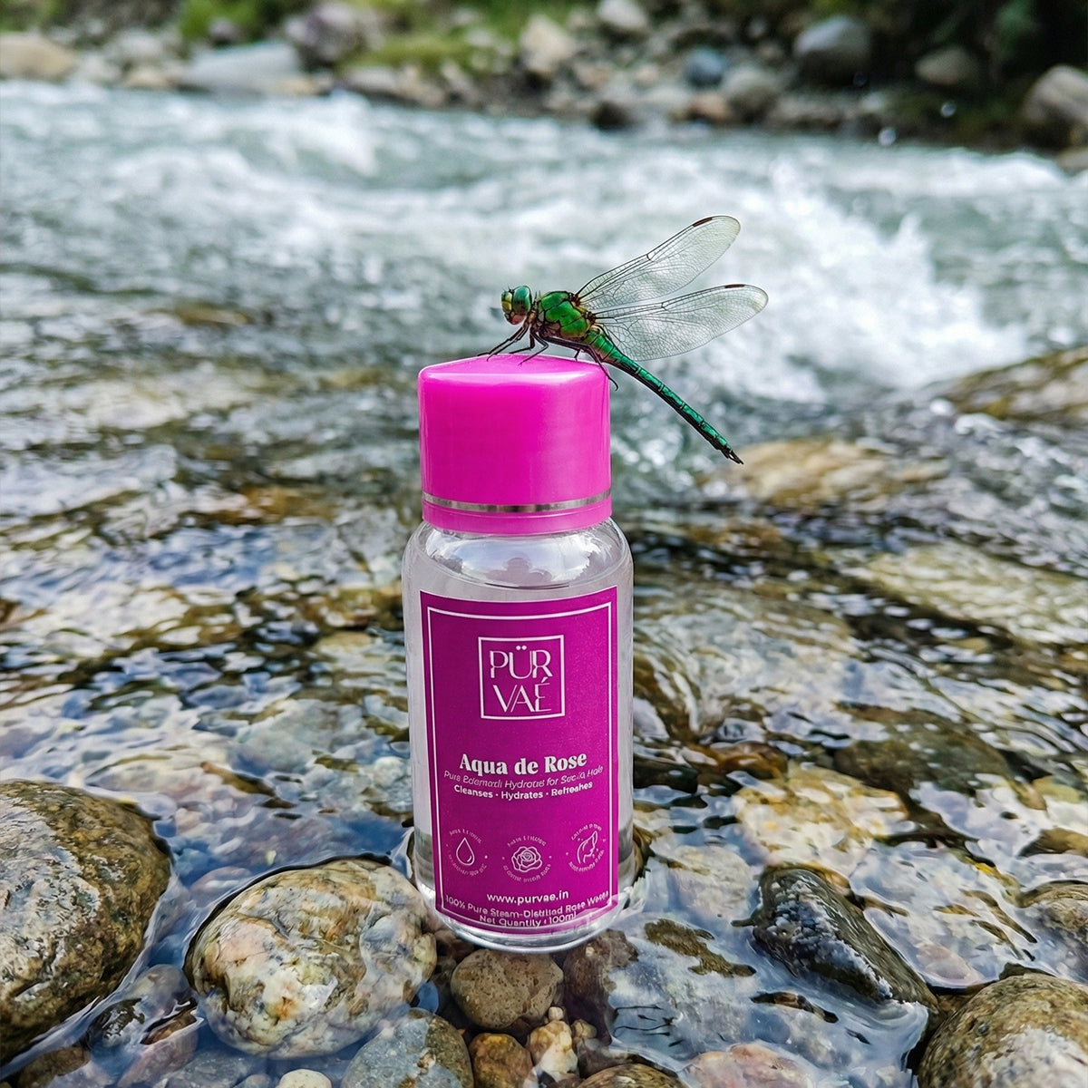 Purvae Aqua de Rose | Pure Steam-Distilled Rose Water