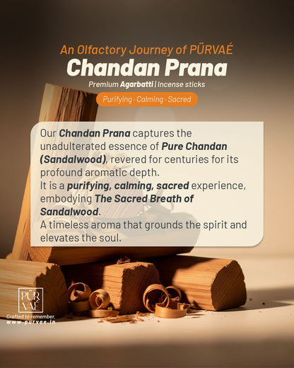Chandan Prana | Essential Incense Sticks (Pure Sandalwood, Calming & Sacred)