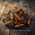 Winter’s Gold | Fresh Raw Turmeric (Kacchi Haldi)