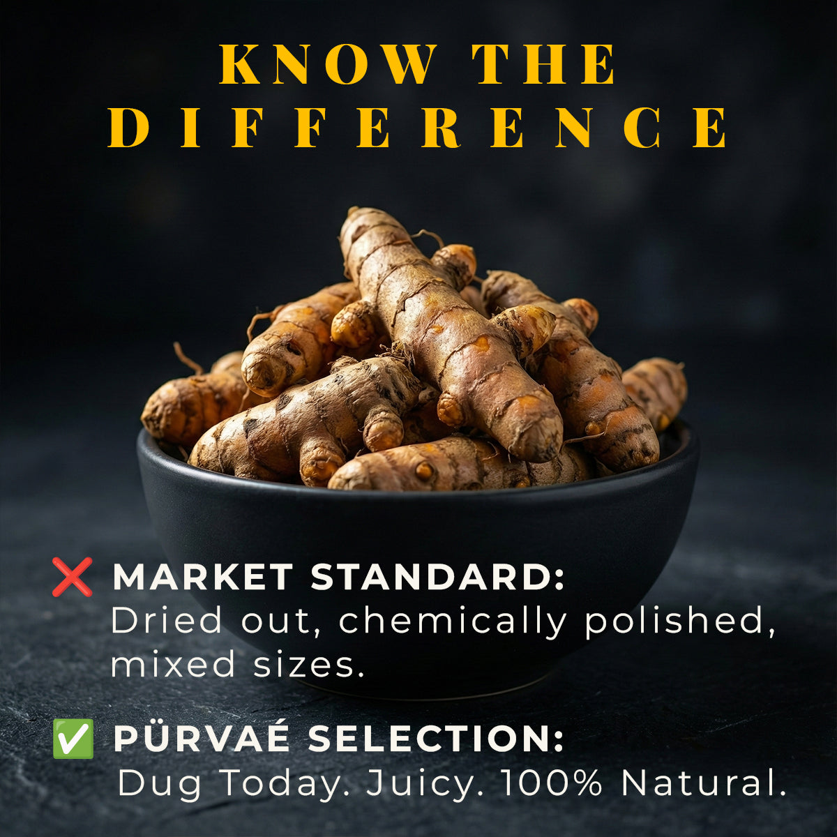 Winter’s Gold | Fresh Raw Turmeric (Kacchi Haldi)