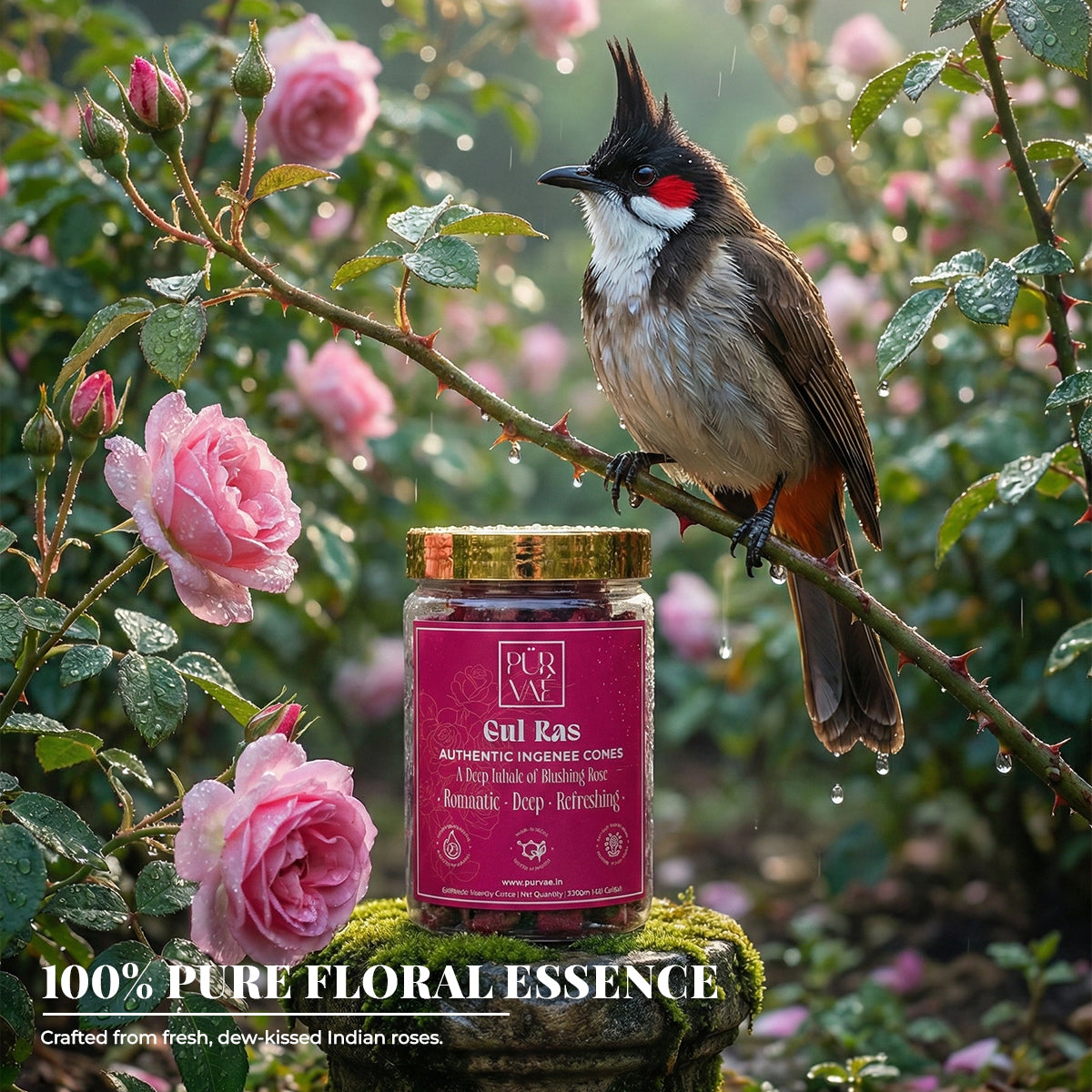 Purvae Gul Ras | Authentic Incense Cones (Natural Rose Dhoop Cones, Long-Lasting)