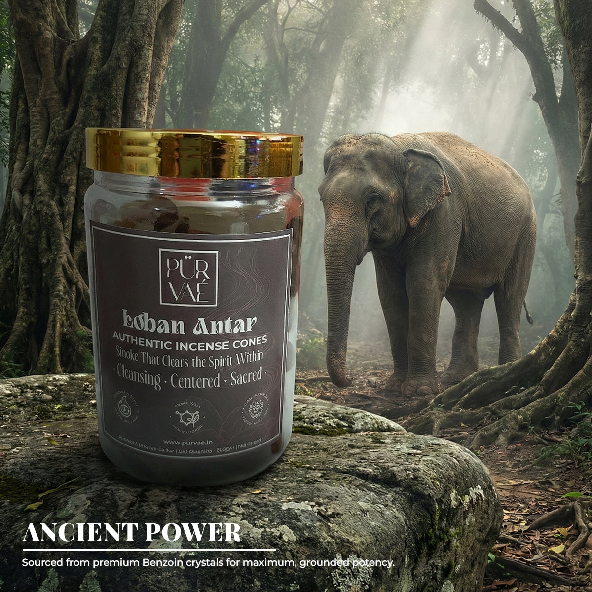 Purvae Loban Antar | Authentic Incense Cones (Natural Resin Dhoop Cones, Long-Lasting)