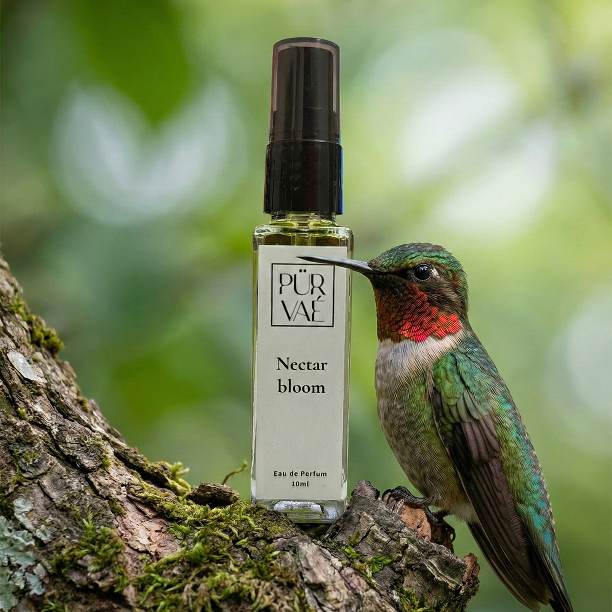 Purvae Nectarbloom | Eau de Parfum