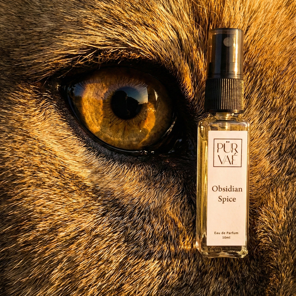 Obsidian Spice – Saffron & Oud Eau de Parfum Spray