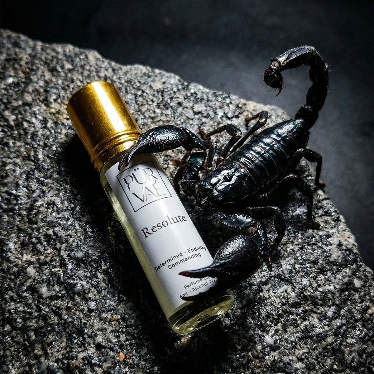 Purvae Resolute | Pure Parfum Oil