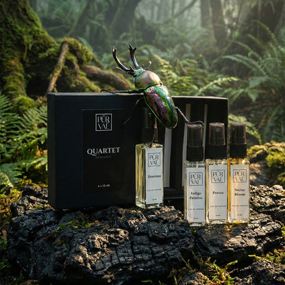 The Apex Edit | Quartet Discovery Set (4 x 10ml)