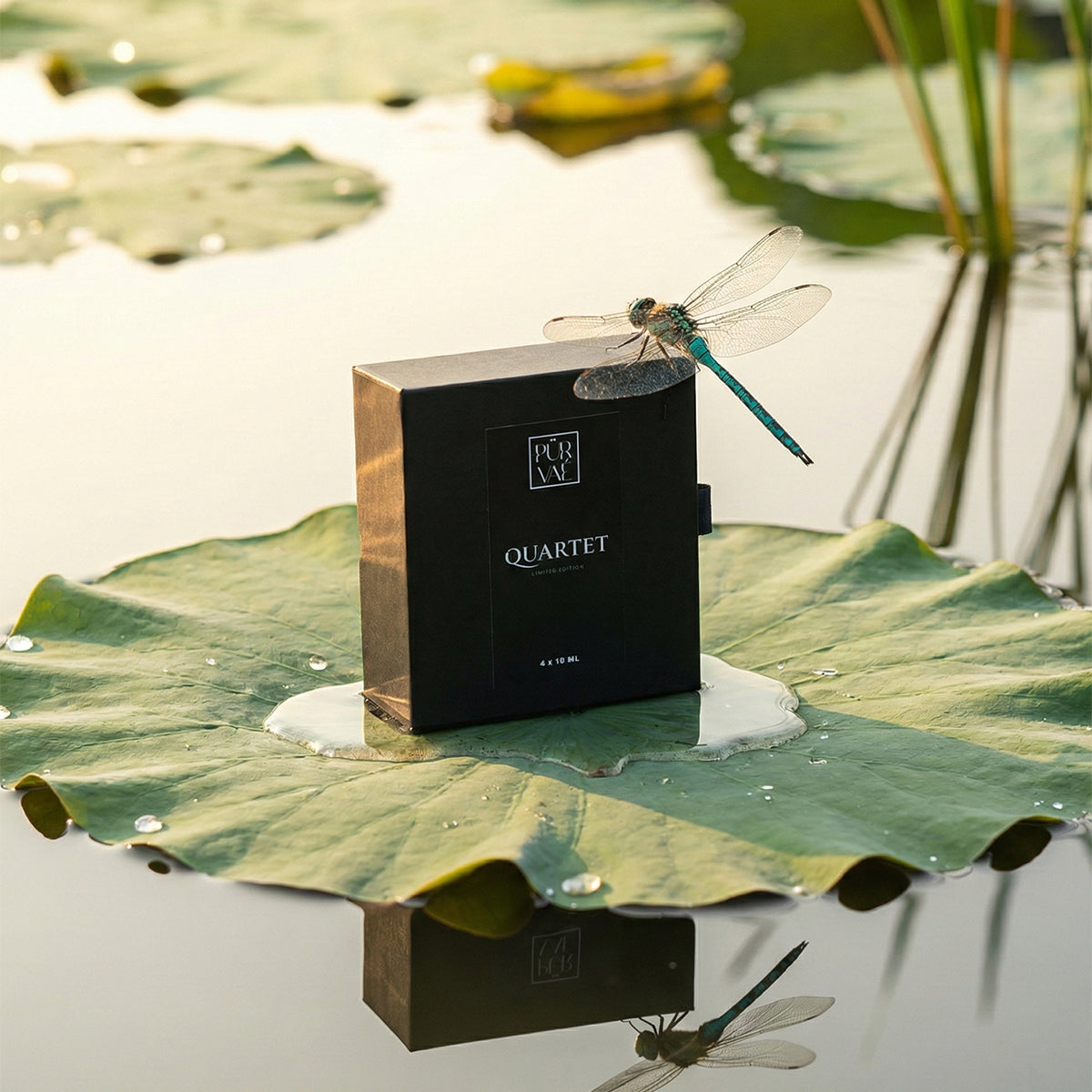 The Apex Edit | Quartet Discovery Set (4 x 10ml)