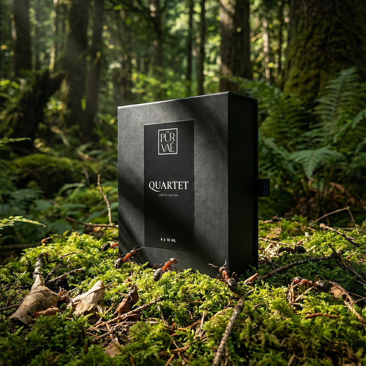 The Apex Edit | Quartet Discovery Set (4 x 10ml)
