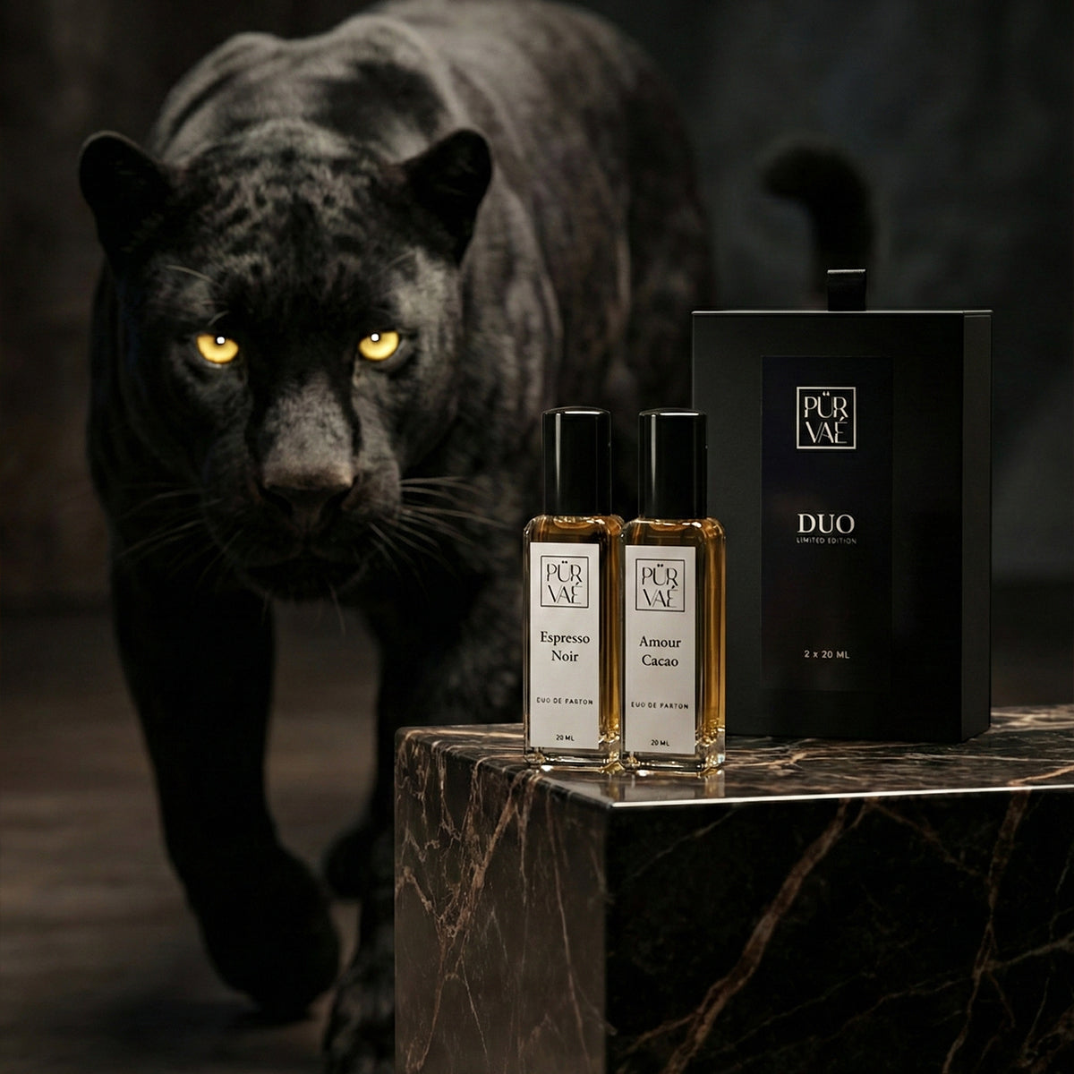 The Café Noir Edit | Duo Discovery Set (2 x 20ml)