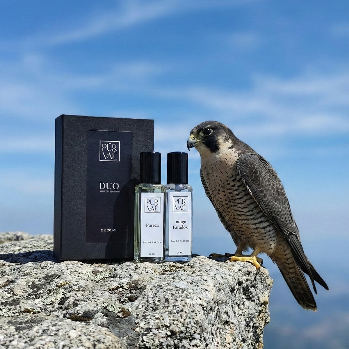 The Element Edit | Duo Discovery Set (2 x 20ml)