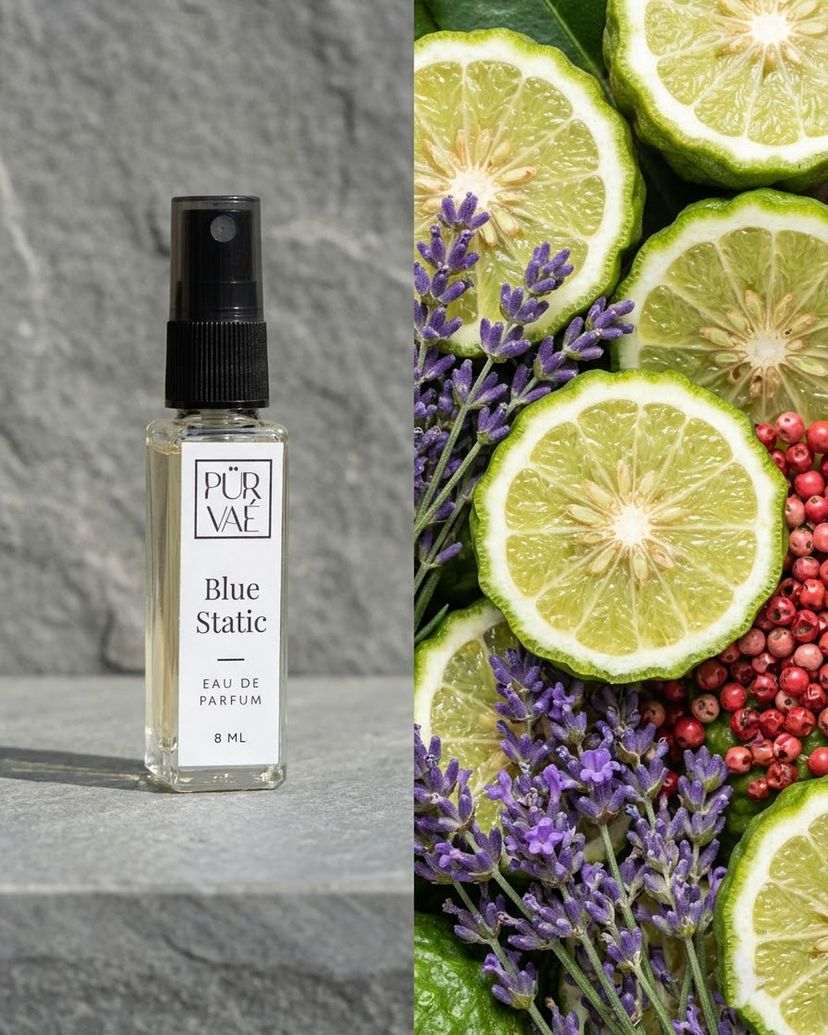 Blue Static beside bergamot, lavender and pink pepper: the notes at a glance