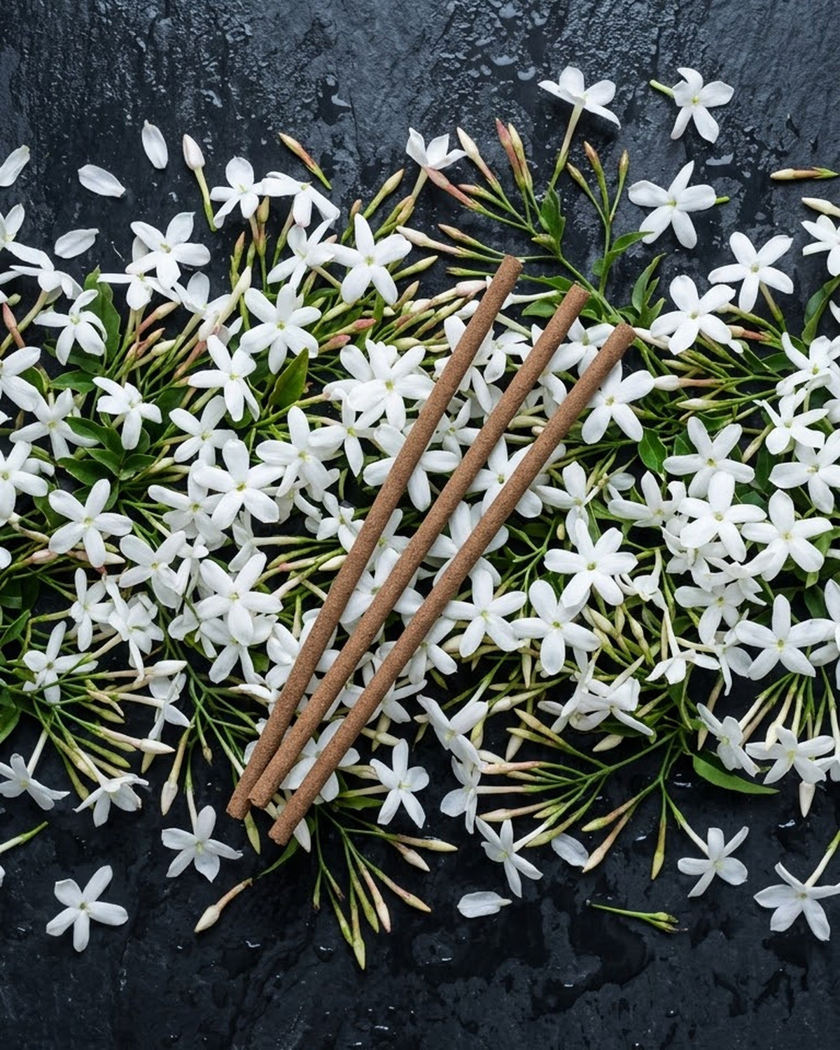 Star jasmine flowers that inspire Jasmine Lehar dhoop sticks, with three unlit long sticks